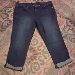 Ann Taylor Dark Blue Ankle Jeans